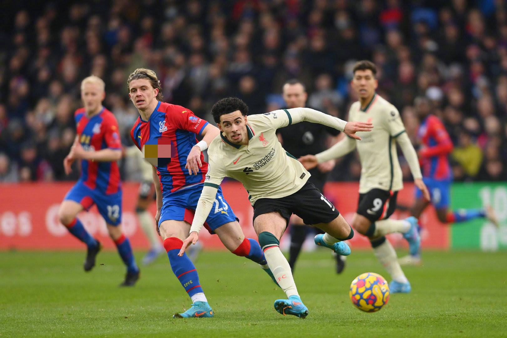 从国内顶级 从国内顶级