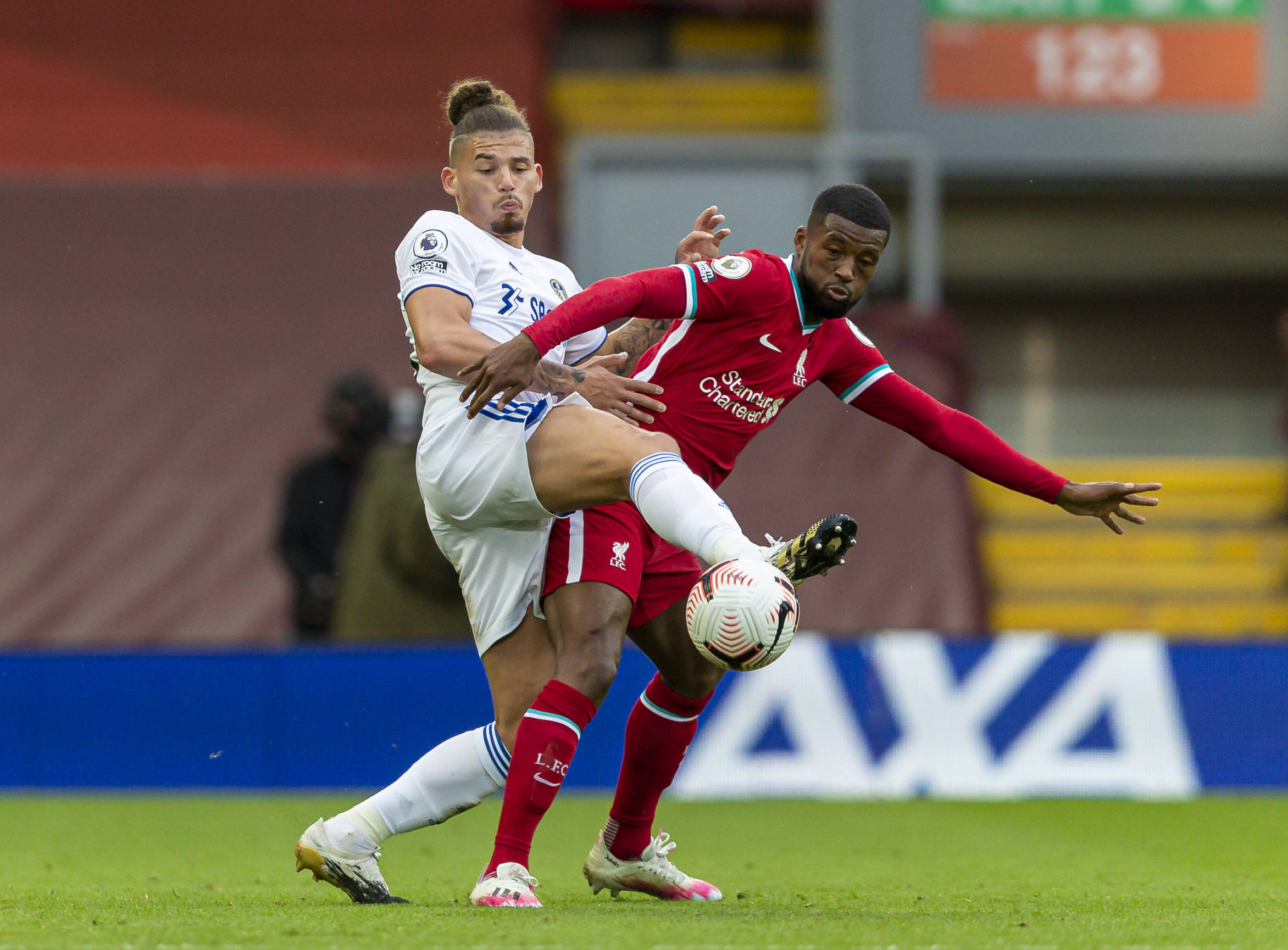 来了更多的 来了更多的